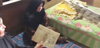 Sebelum mengartikan mimpi melihat , digigit dan dikejar buaya kita perlu pahami dahulu karakter dari buaya itu seperti apa. Heboh Wanita Melahirkan Buaya Dan Manusia Di Jambi Kawin Sama Ular Pojoksatu Id