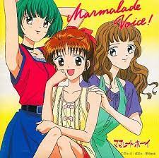 marmalade boy ママレード ボーイ 1994 ヴィンテージコミック ママレードボーイ アニメ