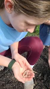 What kind of baby snake is this with diamond markings?