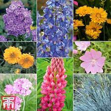 The cotswold company (uk) ltd is registered in england and wales (04774845). Perennial Summer Garden Collection Thompson Morgan