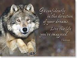 Live The Life Wolf Birthday Card Jpg 294 222 Happy Birthday Wolf Wolf Pictures Wolf Quotes