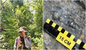 Mild steel pipe malaysia binsen plastic industry sdn bhd sdn bhd honlid motor parts sdn bhd tian mao sdn. Local Fossil Hunter Shares Her Experience As A Palaeontologist In Malaysia Trp