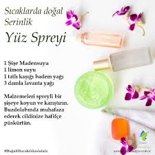 Face Care Adli Kullanicinin Guzellik Panosundaki Pin Dogal Dogal Guzellik Ipuclari Dogal Makyaj Gorunumu