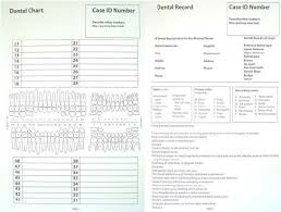 Dental Chart And Dental Record For Dental Identification