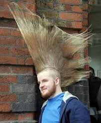 It takes longer to style compared with medium hair, but it also allows for more options. Crazy Hairstyles For Men With Long Hair Crazy Hair Ideas For Crazy Hair Day Maria Lombardic More Cool Pictures