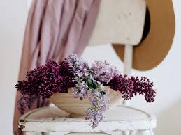 Jun 25, 2021 · for indoor flowering plants, it is necessary that your plants get ample sunshine during the day. Indoor Flowering Plants Add Colour To Your Rooms Balconies And Terrace Most Searched Products Times Of India