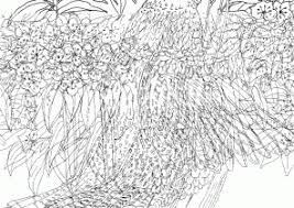 Includes images of baby animals, flowers, rain showers, and more. Hard Coloring Pages Coloring4free Com
