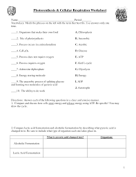 It converts energy in the form of glucose into energy in. 34 Photosynthesis Diagrams Worksheet Answers Worksheet Resource Plans