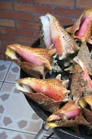 We would like to show you a description here but the site won't allow us. 22 Haiti Ideas Haiti Haitian Food Recipes Caribbean Recipes