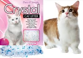 The Benefits Of Using Crystal Or Silica Cat Litter Cat Litter Litter Crystals