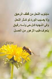 يظل النحل يبحث عن رحيق الأزهار ليصنع شرابا طيب المذاق وهكذا نحن نبحث عن الأنقياء لنستقي منهم طهارة القلب وطيب النفس وجميل الطبع Words Movie Posters Poster