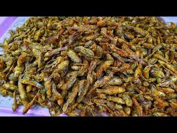 Yuk langsung aja simak video selengkapnya dan coba bikin sendiri di rumah. Resep Ikan Wader Goreng Crispy Enak Bergizi Youtube