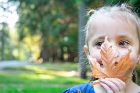 What are the best Nikon lenses and editing software for a beginner  photographer?