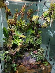 Adam Ruble (adam_ruble)