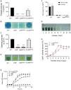 Frontiers | T2SS-peptidase XcpA associated with LasR evolutional ...