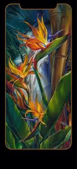 Tropical Birds Of Paradise Wallpaper Pin By J On Iphone X Art Painting Flower Painting Floral Painting