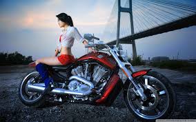 Looking for the best wallpapers? Harley Davidson Hintergrundbilder Harley Davidson Frei Fotos