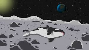 Willzyx On The Moon He S Gotten Some Company Over The Years Album On Imgur
