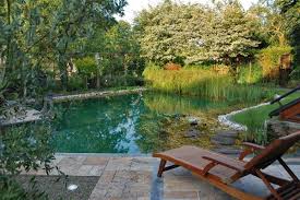 Home Halbmeier Gartengestaltung Gartenpflege Und Schwimmteichbau Fur Bielefeld Und Ostwestfalen Gartengestaltung Zen Garten Gartenpflege