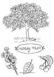 Apr 02, 2020 · home > foods > cherry coloring pages. Cherry Tree Colouring Page