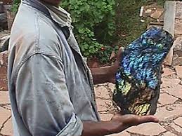 Labradorite is a stone of transformation and helps the soul prepare for ascension. Labradorite Rough