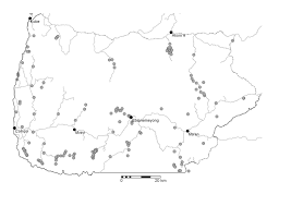 Image result for Landolphia bruneelii