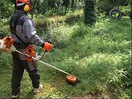 Petrol Grass Cutting Machines Best Sale, UP TO 68% OFF | www.aramanatural.es