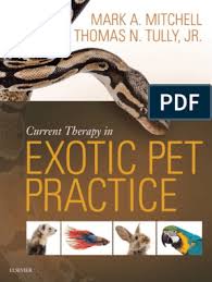 Pet stores in houston on superpages.com. Current Therapy In Exotic Pet Practice Pdf Aquarium Medical Diagnosis