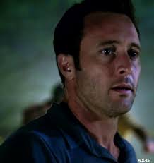 The Steve McGarrett Story
