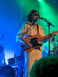 Pin By Saige Gilbert On Djo Joe Keery Post Animal Cool Bands