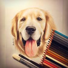 Cats And Dogs Color Pencil Drawings Color Pencil Drawing Cat And Dog Drawing Animal Drawings Drawing realistic subjects in pencil • drawing realistic subjects in coloured pencils. cats and dogs color pencil drawings