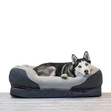 Amazon music stream millions of songs: The 8 Best Orthopedic Dog Beds Of 2021