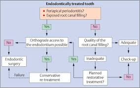 40 endodontic surgery pocket dentistry