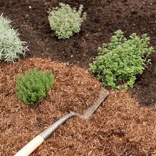 Maybe you would like to learn more about one of these? Buy Strulch Organic Garden Mulch Delivery By Crocus