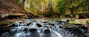 Maybe you would like to learn more about one of these? Conference Field Trip Around The Emerald Necklace The Wildlife Society