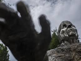 Image result for Vangueria domatiosa