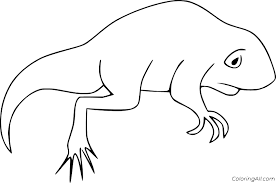 It can be found on all five continents, in any environment with sufficient humidity (woods, marshes, meadows, etc.). Tadpole With Legs Coloring Pages Coloring Pages Blog Responsible