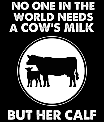 Pin On Animal Rights Activism