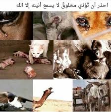 Pin On صور لها معني