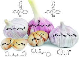 Inspired by garlic: insights on the chemistry of sulfenic acids and the  radical-trapping antioxidant activity of organosulfur compounds