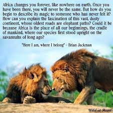 The Beauty Of Africa Africa Quotes African Travel African Animals