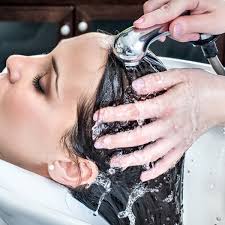 At first nothing made any sense and i didn't believe it because some things had no way of happening. The Twisted Scissor From 18 75 Crystal Lake Il Groupon