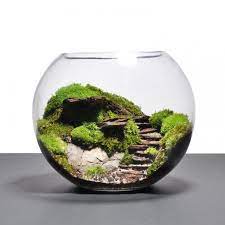 25 Adorable Miniature Terrarium Ideas For You To Try Miniature Garden Garden Terrarium Succulent Terrarium