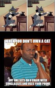 I M Calling The Police With My Mobile Phone Because The Cat Has My Landline 9gag