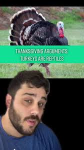 Understanding Turkeys: Evolution, Biology, and More