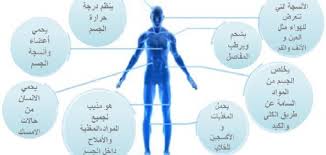 أهمية الماء في جسم الإنسان موضوع