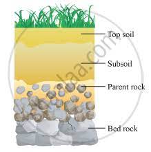Answer In Your Own Words Explain With The Help Of A Diagram How Soil Is Formed General Science Shaalaa Com