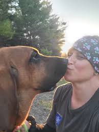 Introduction of a new family member