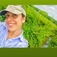 50+ "Dayana Chamorro" profiles