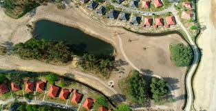 Gasten van de vakantieparken hoeven niet online te reserveren en hebben. Forse Uitbreiding Voor Safari Resort Beekse Bergen 120 Familiekamers Erbij Looopings Nl